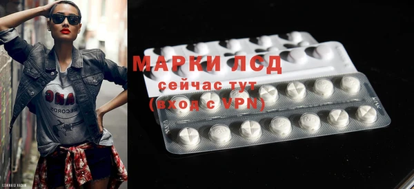 стафф Арсеньев