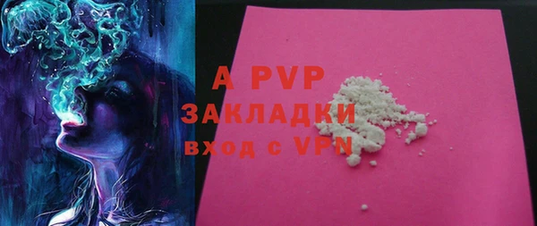стафф Арсеньев