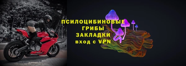 стафф Арсеньев