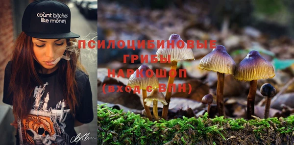 не бодяженный Аркадак