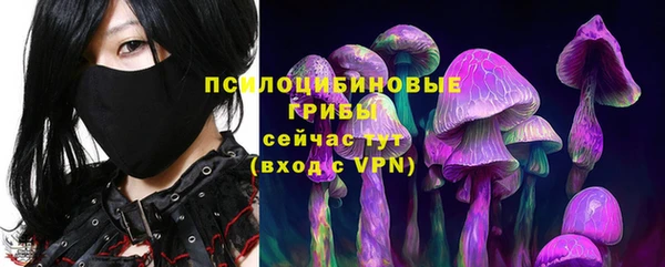 не бодяженный Аркадак