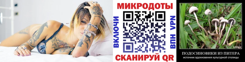 даркнет сайт  Никольское  MEGA сайт  Галлюциногенные грибы прущие грибы 